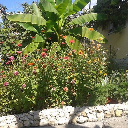 Guesthouse On Kabardinskaya 139A Gagra Exterior foto